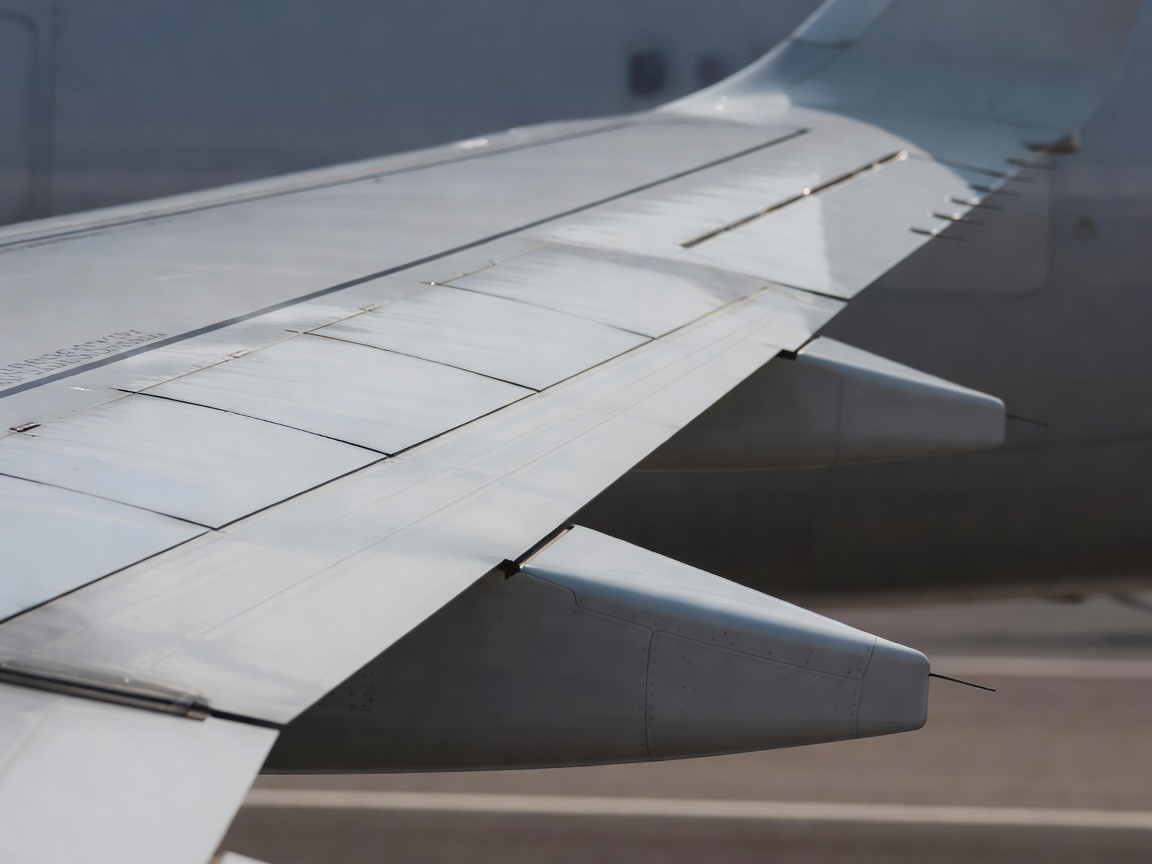 Close-up of an aircraft wing highlighting its curved airfoil shape